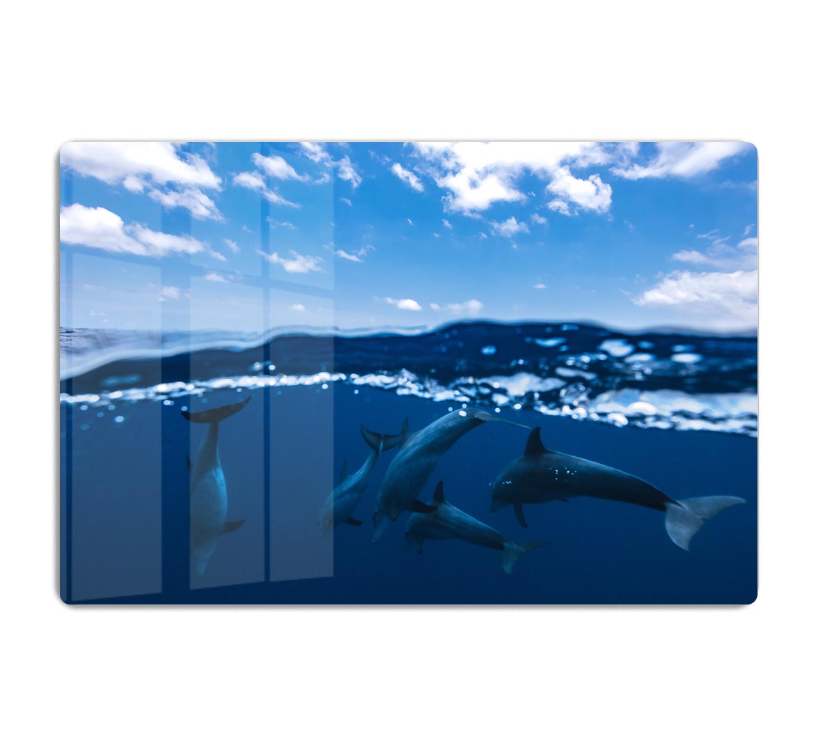 Between Air And Water With The Dolphins HD Metal Print - Canvas Art Rocks - 1