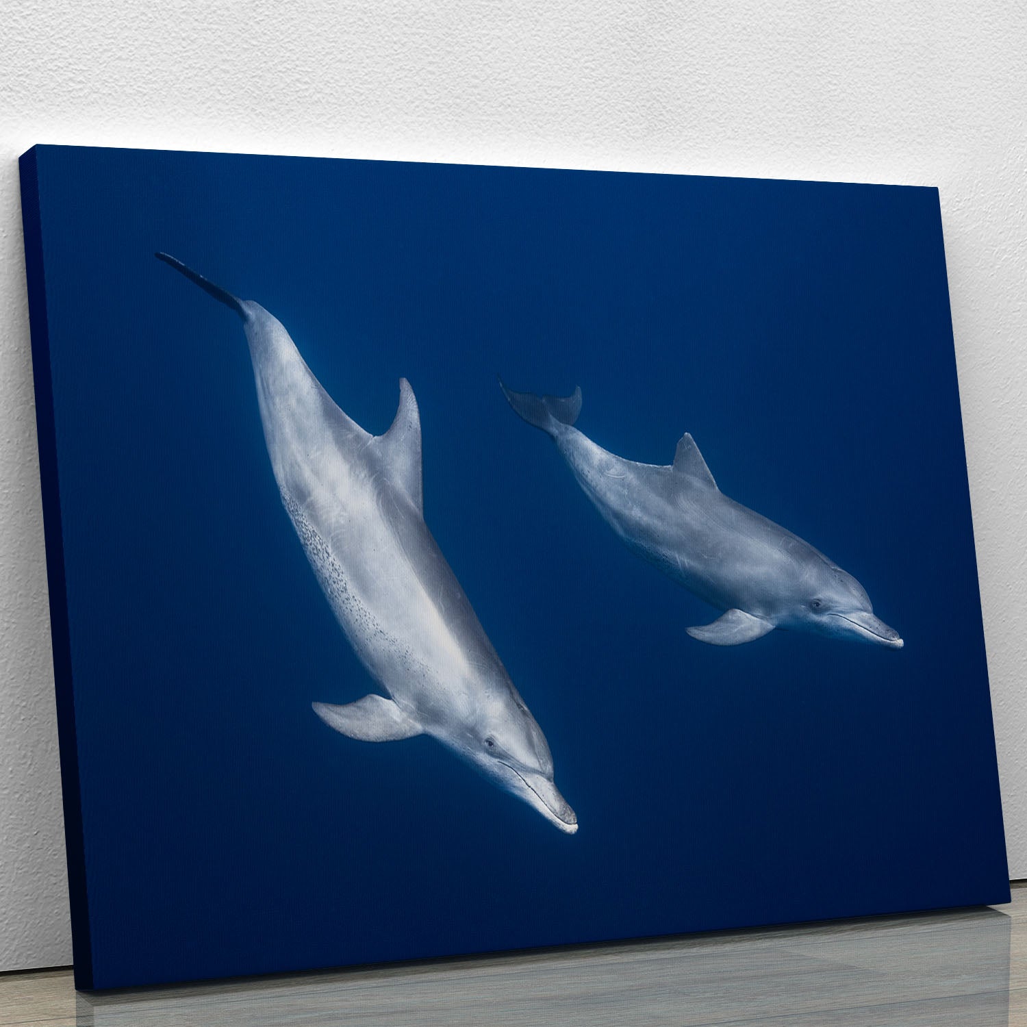 Bottlenose Dolphins Canvas Print or Poster - Canvas Art Rocks - 1