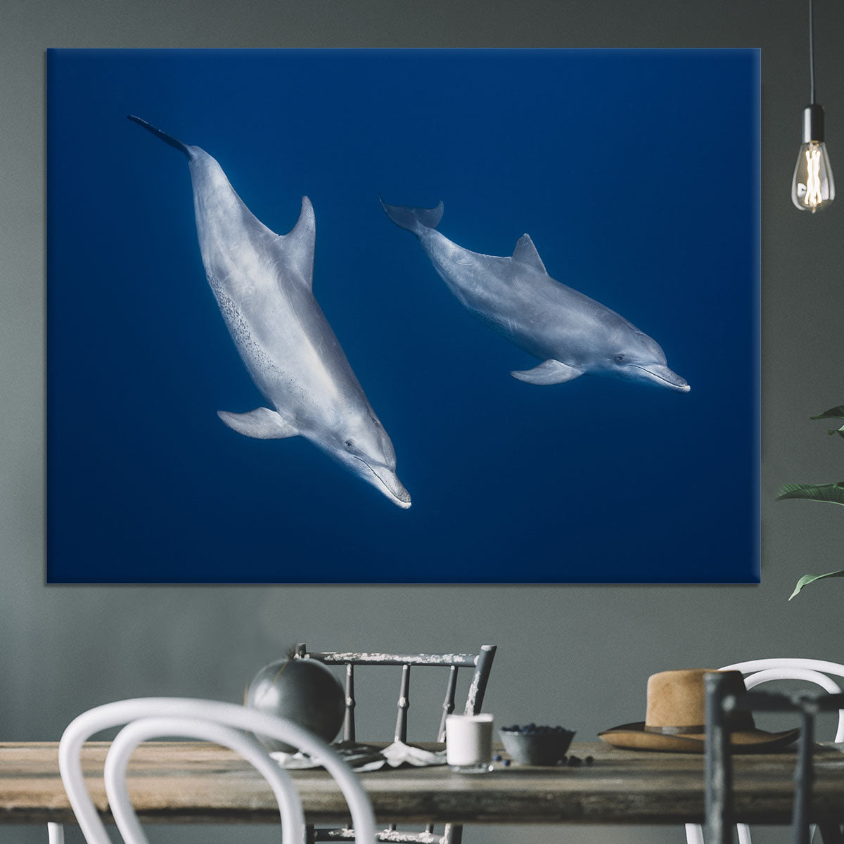 Bottlenose Dolphins Canvas Print or Poster - Canvas Art Rocks - 3