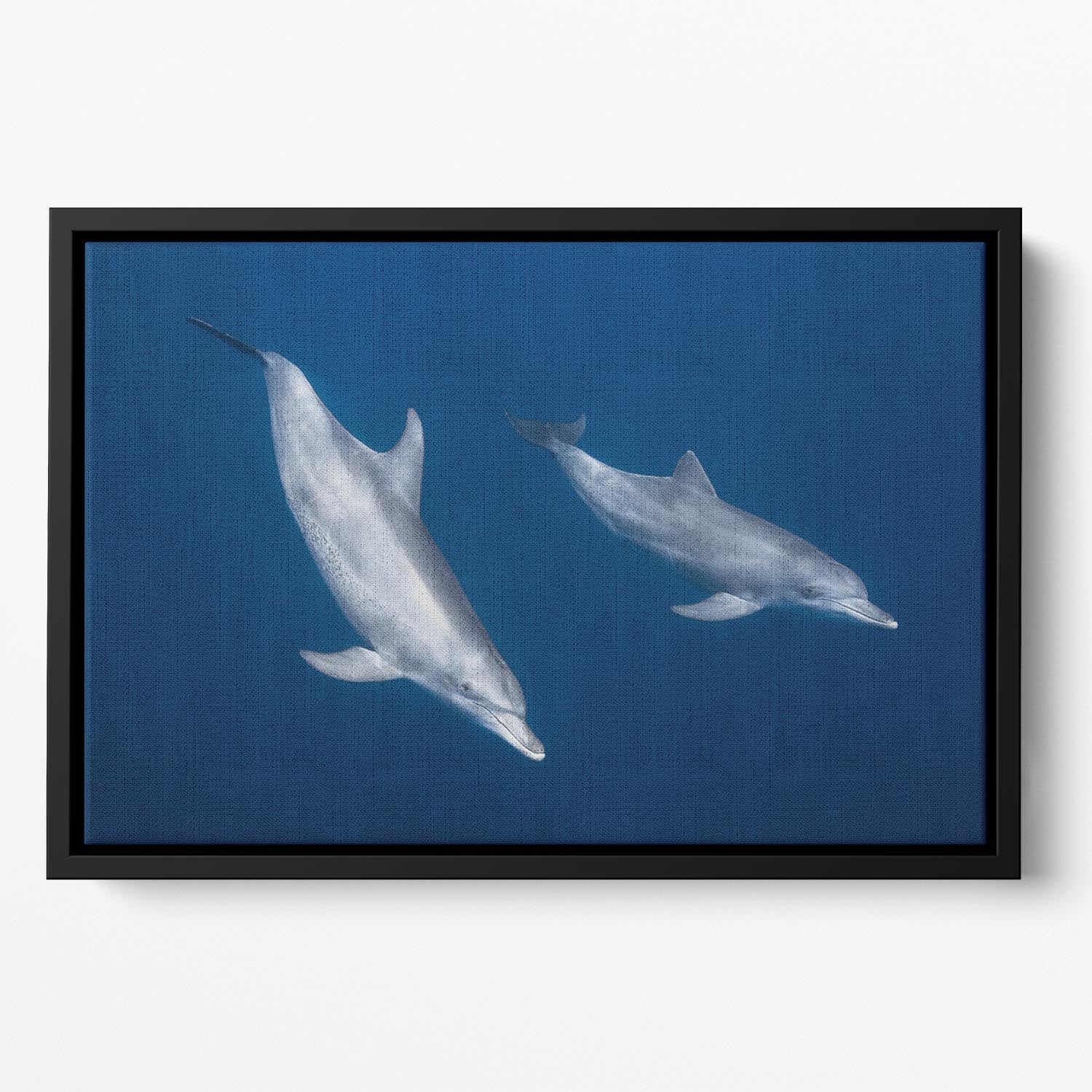 Bottlenose Dolphins Floating Framed Canvas - Canvas Art Rocks - 2