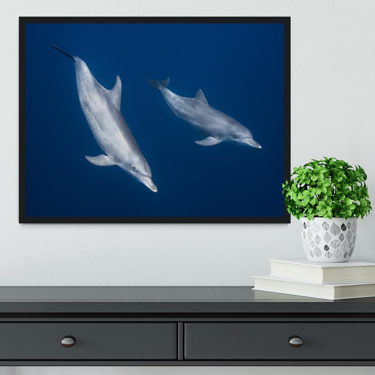 Bottlenose Dolphins Framed Print - Canvas Art Rocks - 2