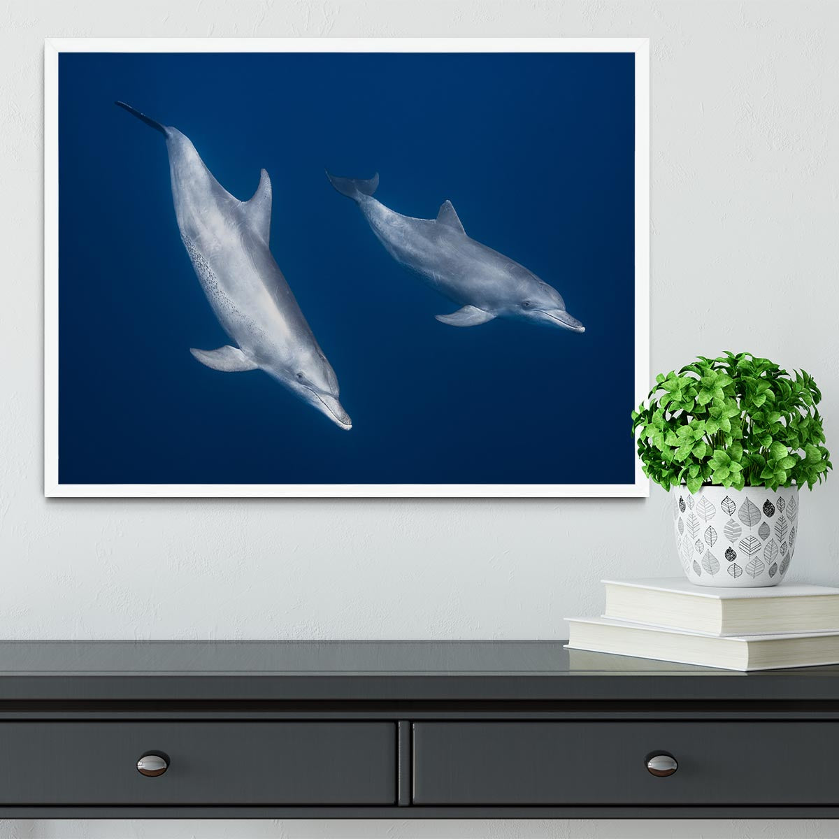 Bottlenose Dolphins Framed Print - Canvas Art Rocks -6