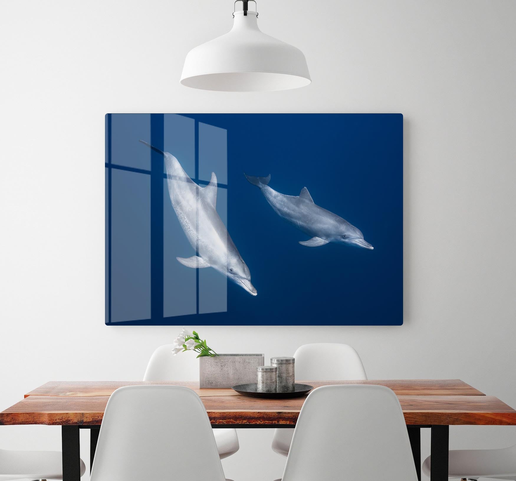 Bottlenose Dolphins HD Metal Print - Canvas Art Rocks - 2