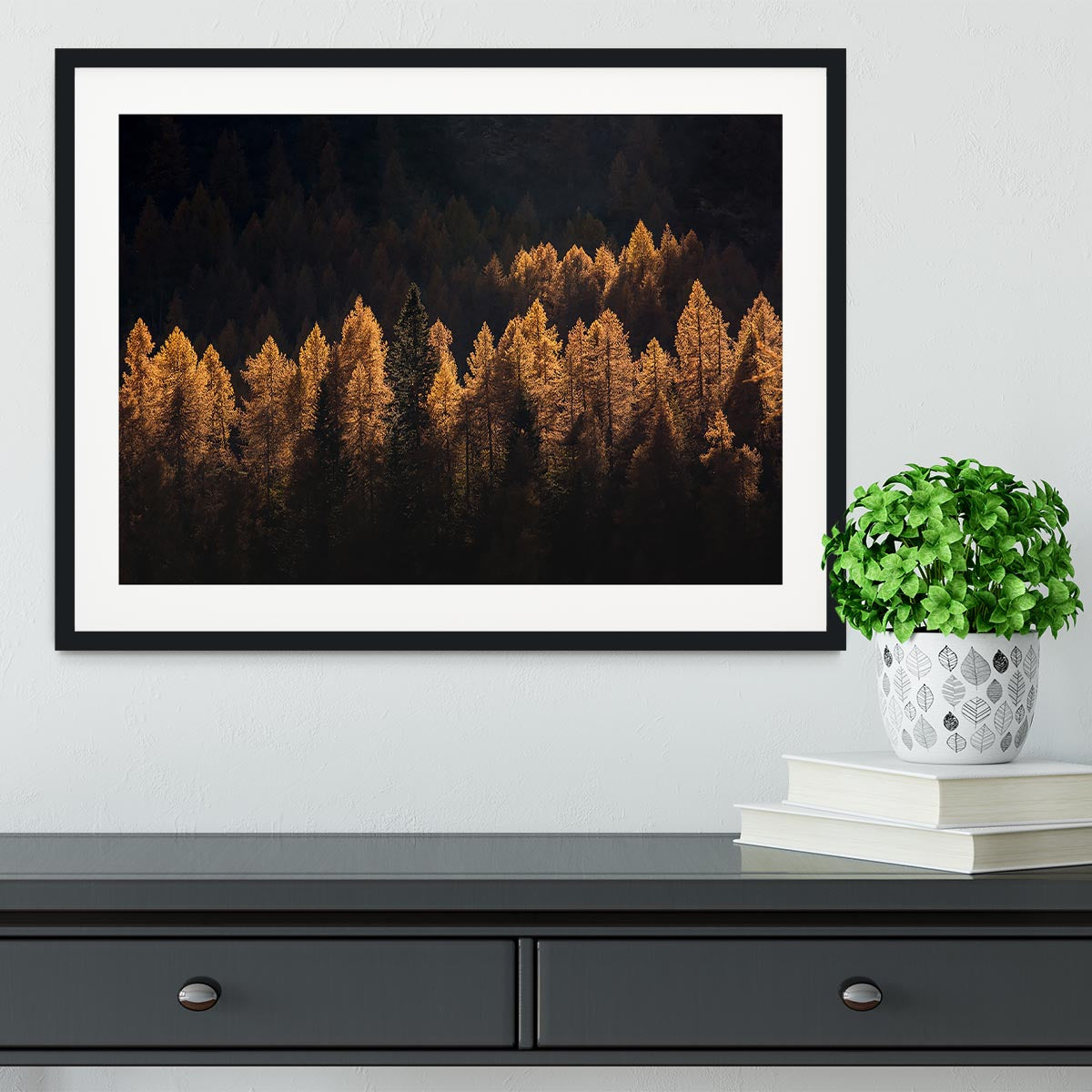 Light For A Few Framed Print - Canvas Art Rocks - 1