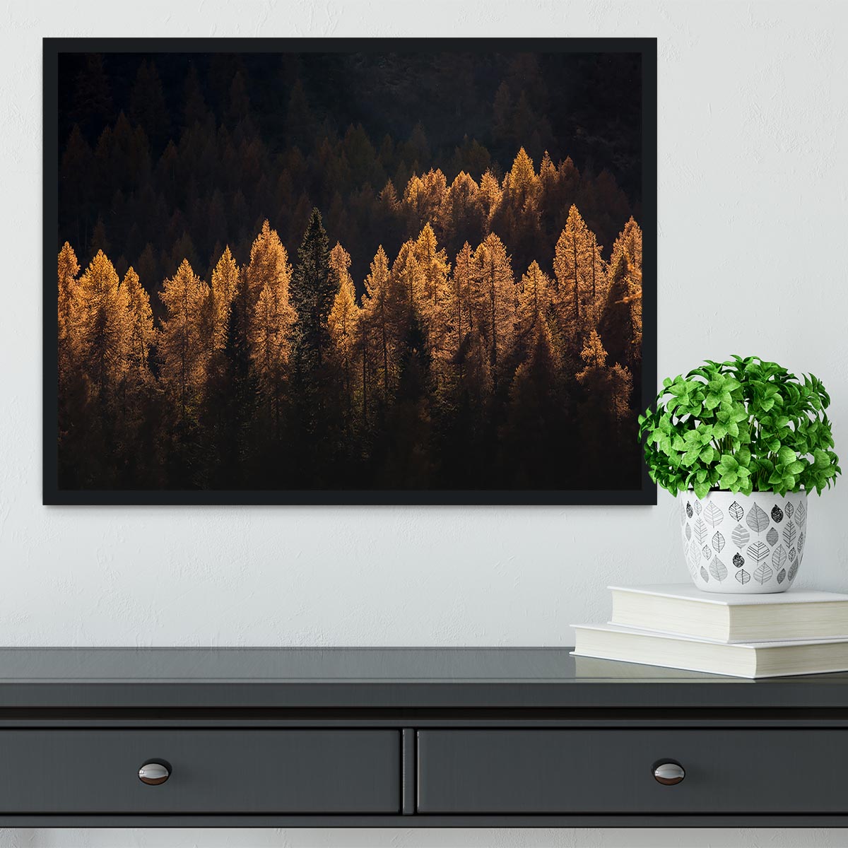 Light For A Few Framed Print - Canvas Art Rocks - 2