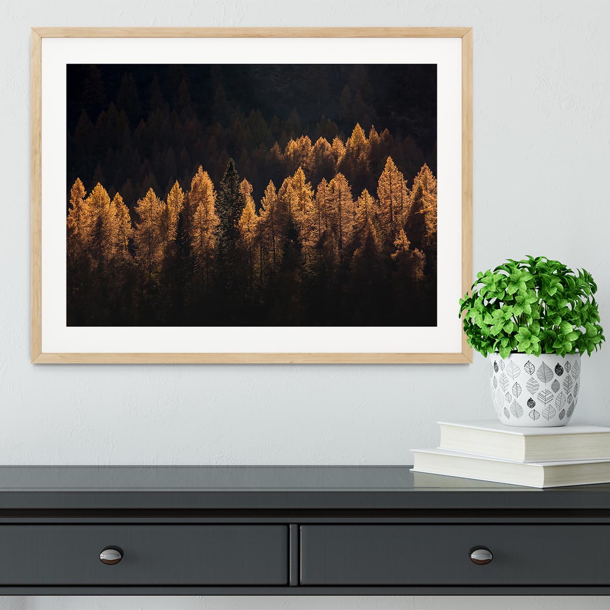 Light For A Few Framed Print - Canvas Art Rocks - 3