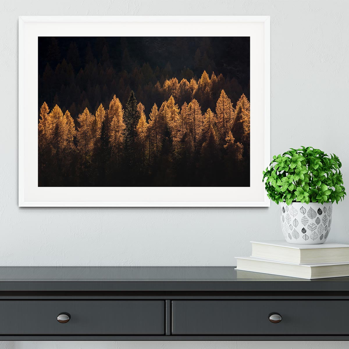 Light For A Few Framed Print - Canvas Art Rocks - 5