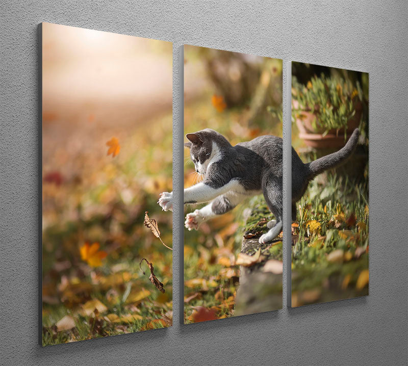 Cat Autumn Play 3 Split Panel Canvas Print - Canvas Art Rocks - 2