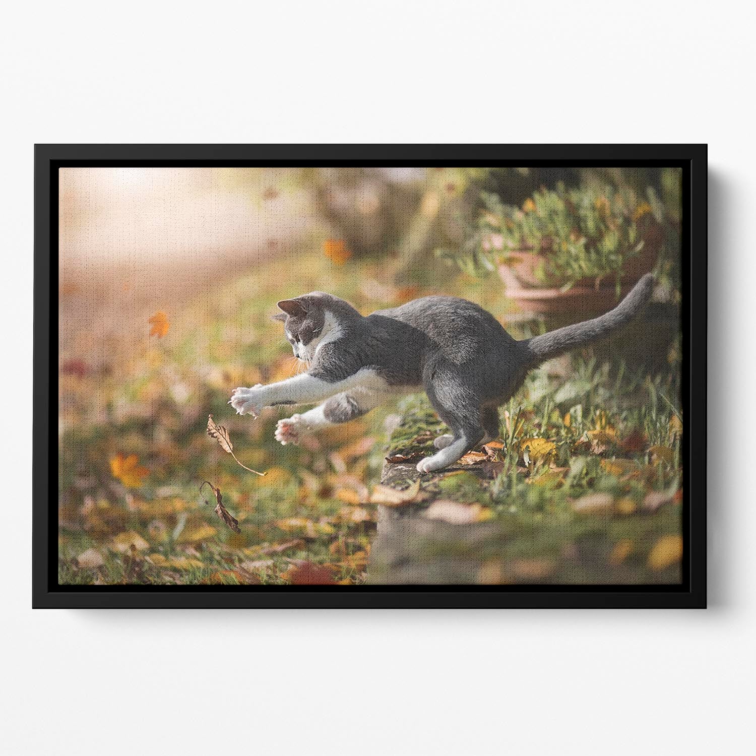 Cat Autumn Play Floating Framed Canvas - Canvas Art Rocks - 2