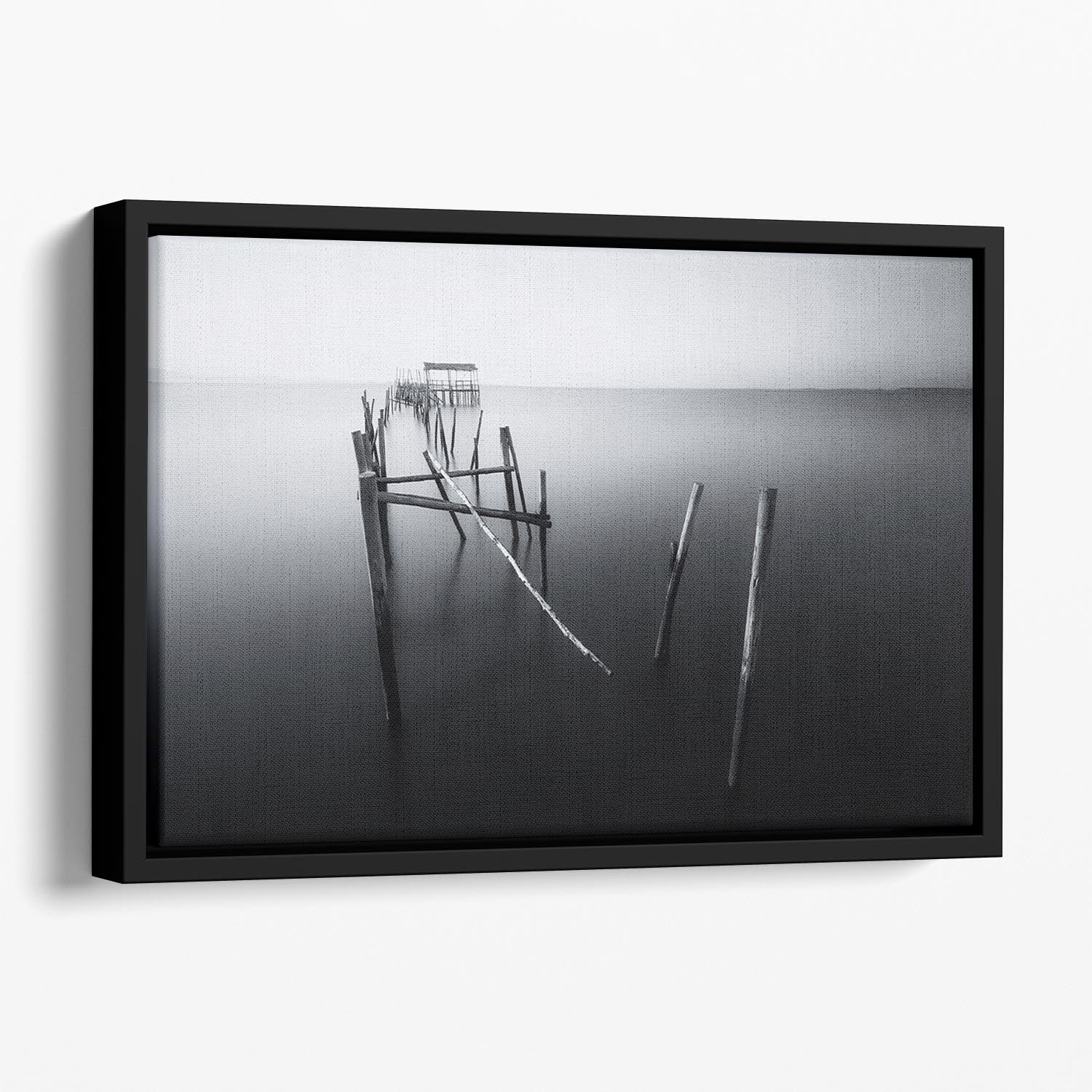 Carrasqueira In Black And White Floating Framed Canvas - Canvas Art Rocks - 1