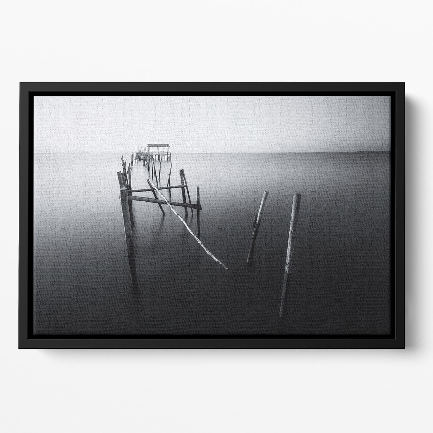 Carrasqueira In Black And White Floating Framed Canvas - Canvas Art Rocks - 2