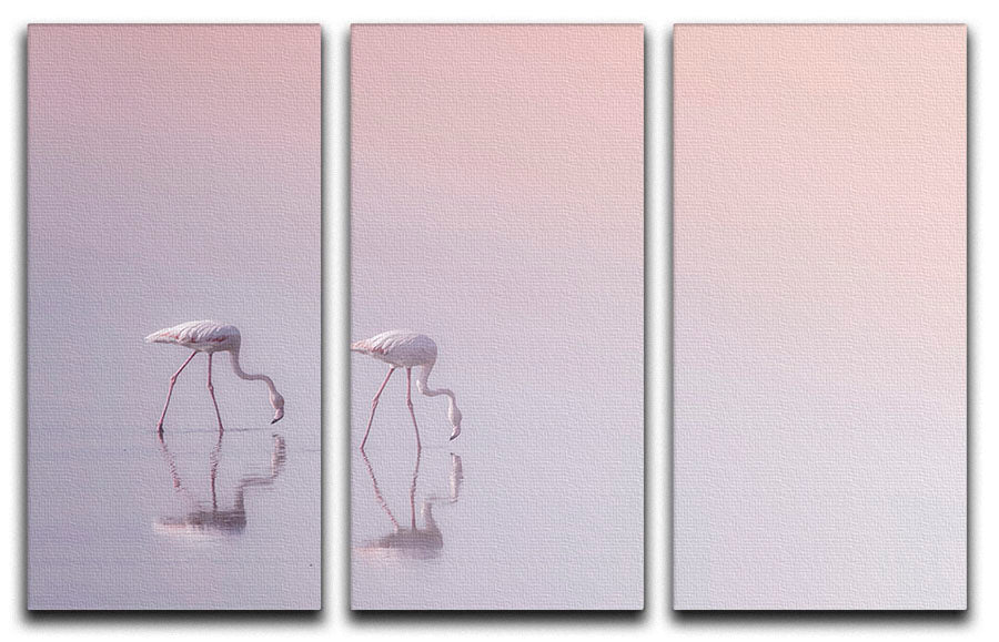 Flamingos Drinking 3 Split Panel Canvas Print - Canvas Art Rocks - 1