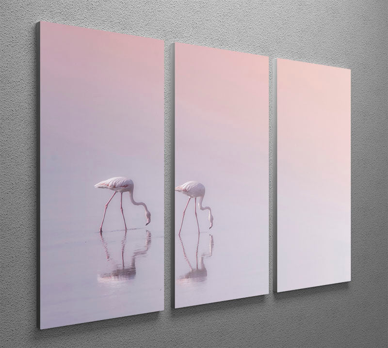 Flamingos Drinking 3 Split Panel Canvas Print - Canvas Art Rocks - 2
