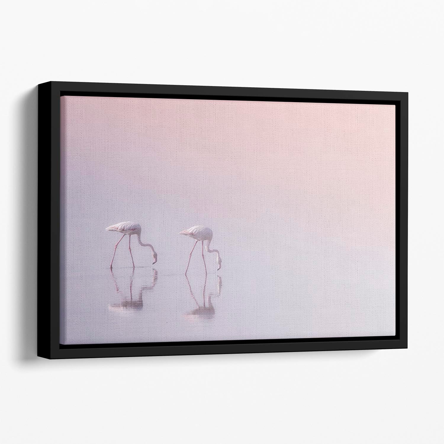 Flamingos Drinking Floating Framed Canvas - Canvas Art Rocks - 1
