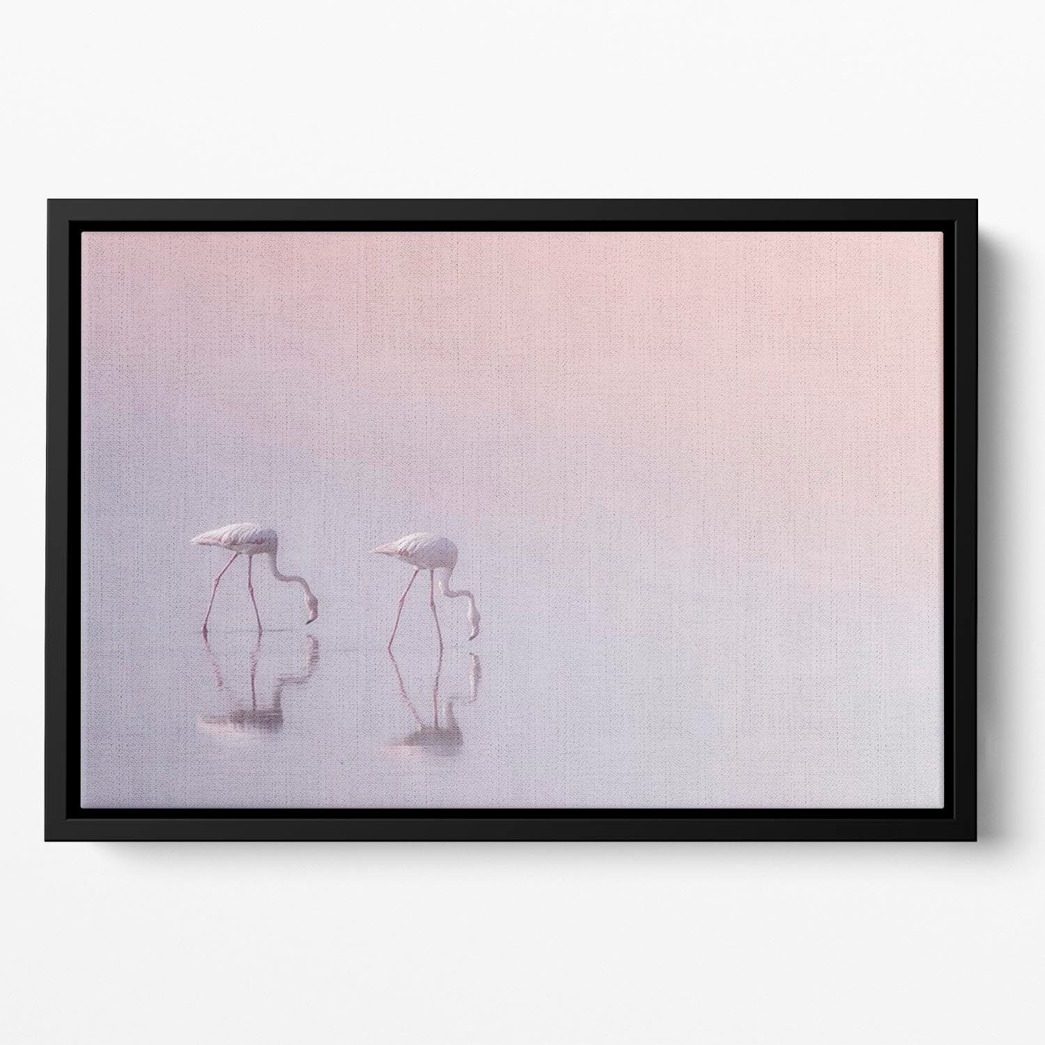 Flamingos Drinking Floating Framed Canvas - Canvas Art Rocks - 2