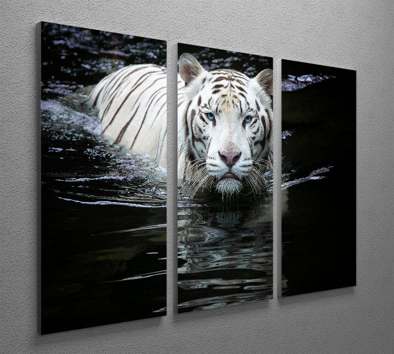 White Tiger Swimming 3 Split Panel Canvas Print - Canvas Art Rocks - 2
