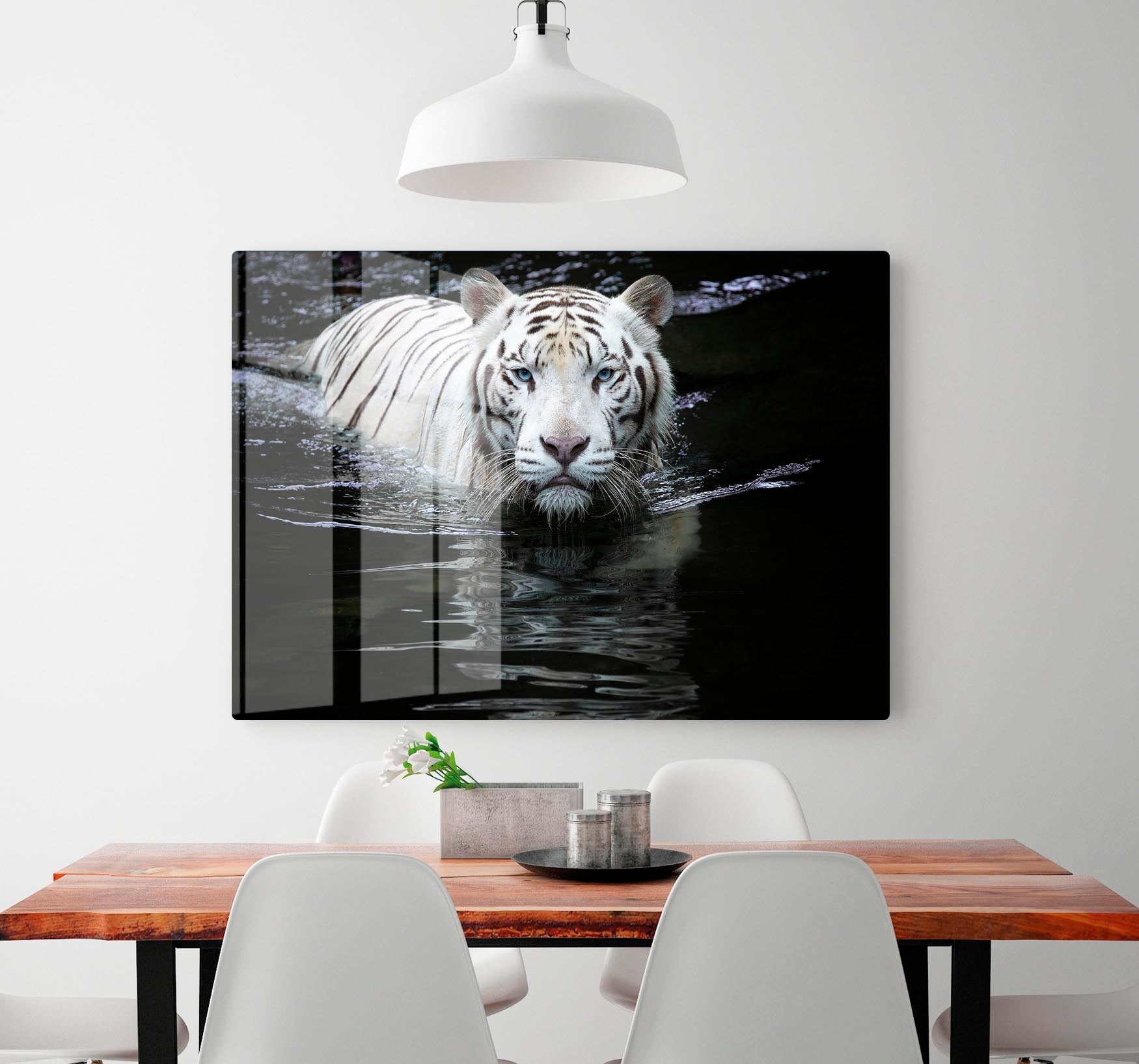 White Tiger Swimming HD Metal Print - Canvas Art Rocks - 2