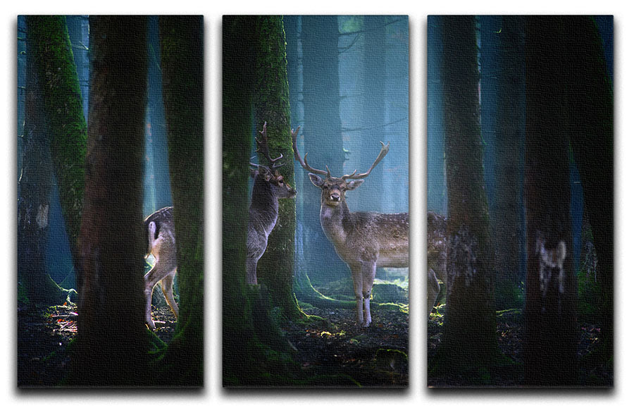 Deers In The Forest 3 Split Panel Canvas Print - Canvas Art Rocks - 1