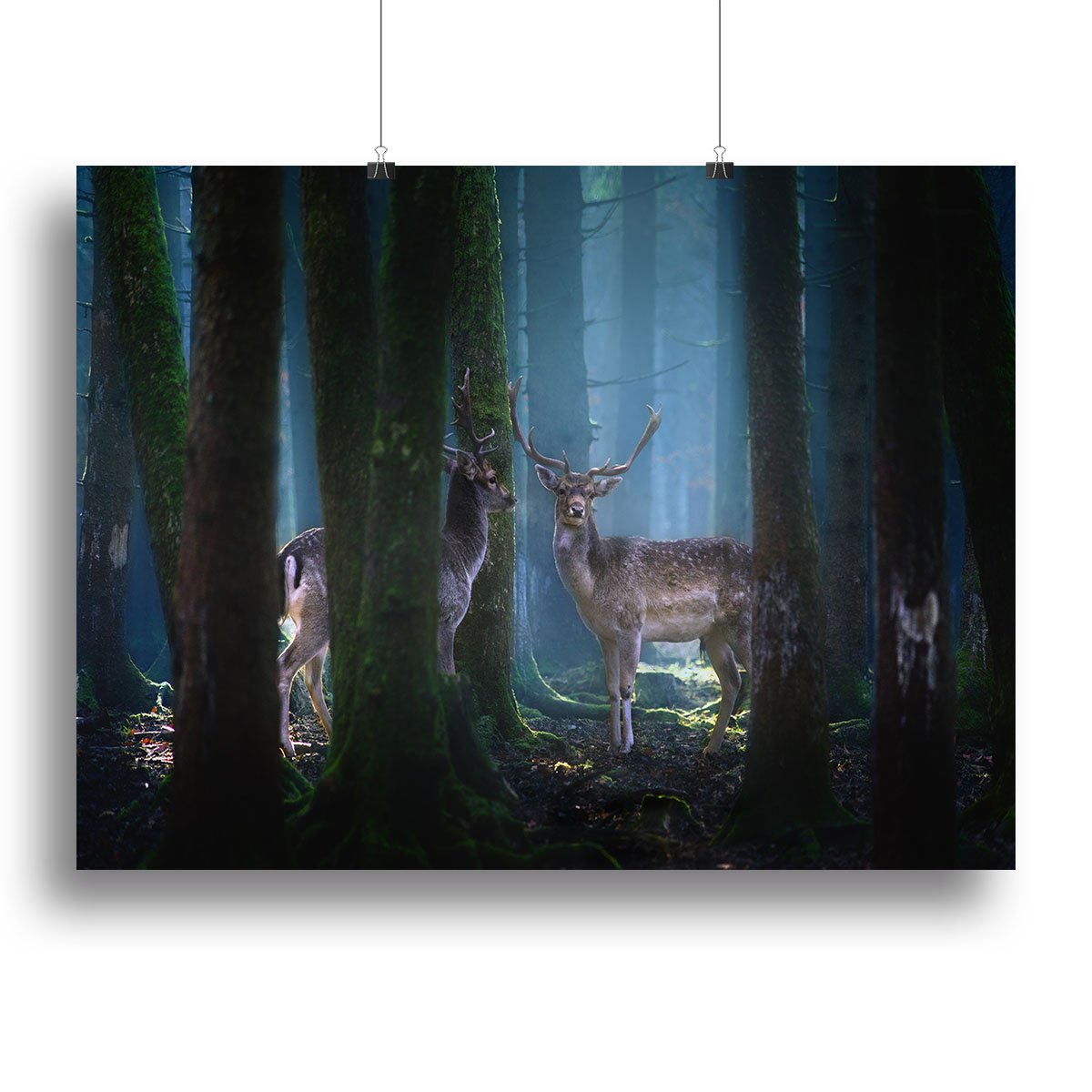 Deers In The Forest Canvas Print or Poster - Canvas Art Rocks - 2