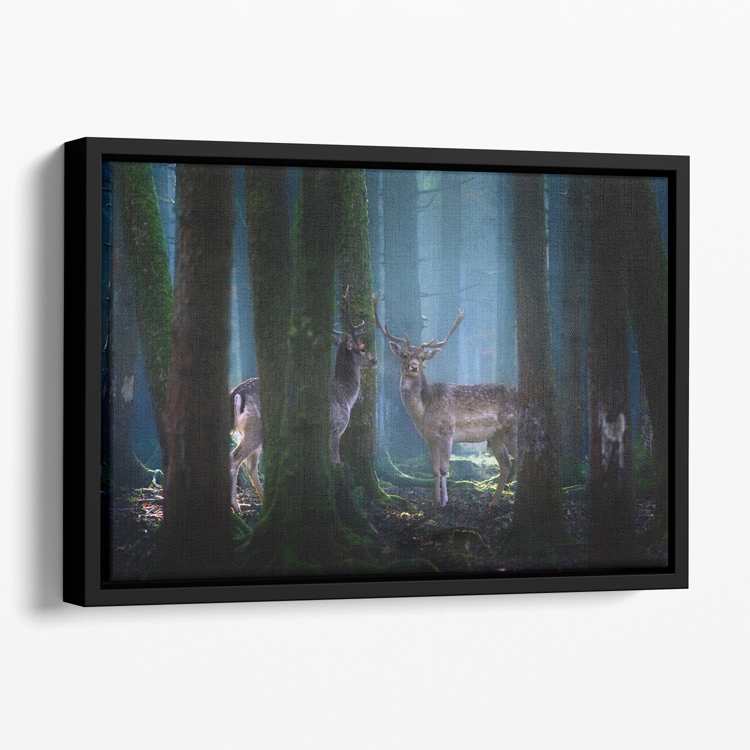 Deers In The Forest Floating Framed Canvas - Canvas Art Rocks - 1