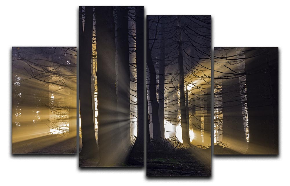 Autumn Forest 4 Split Panel Canvas - Canvas Art Rocks - 1