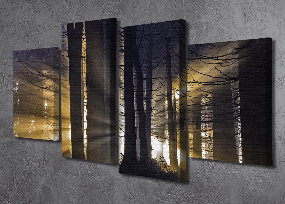 Autumn Forest 4 Split Panel Canvas - Canvas Art Rocks - 2