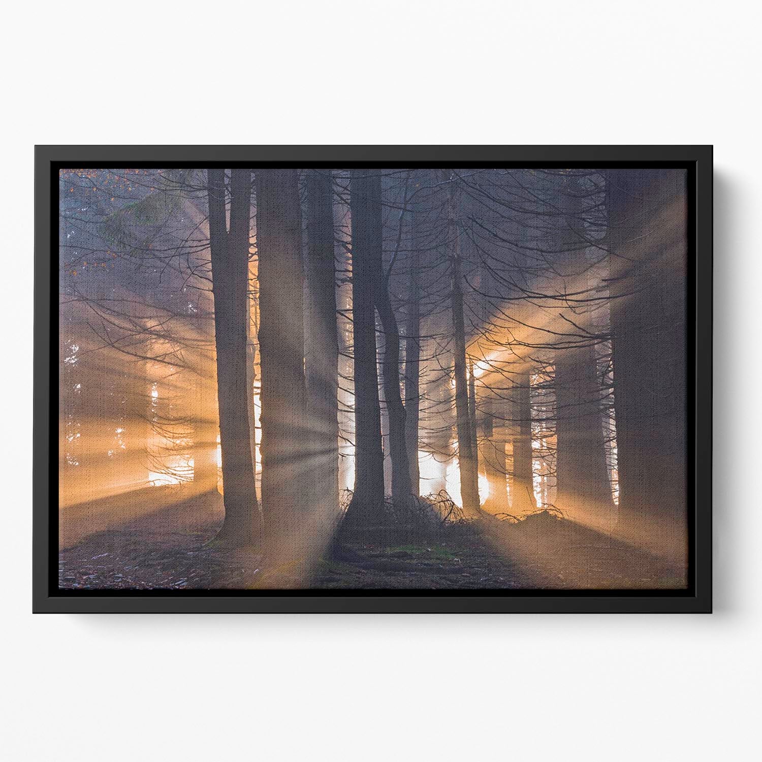 Autumn Forest Floating Framed Canvas - Canvas Art Rocks - 2