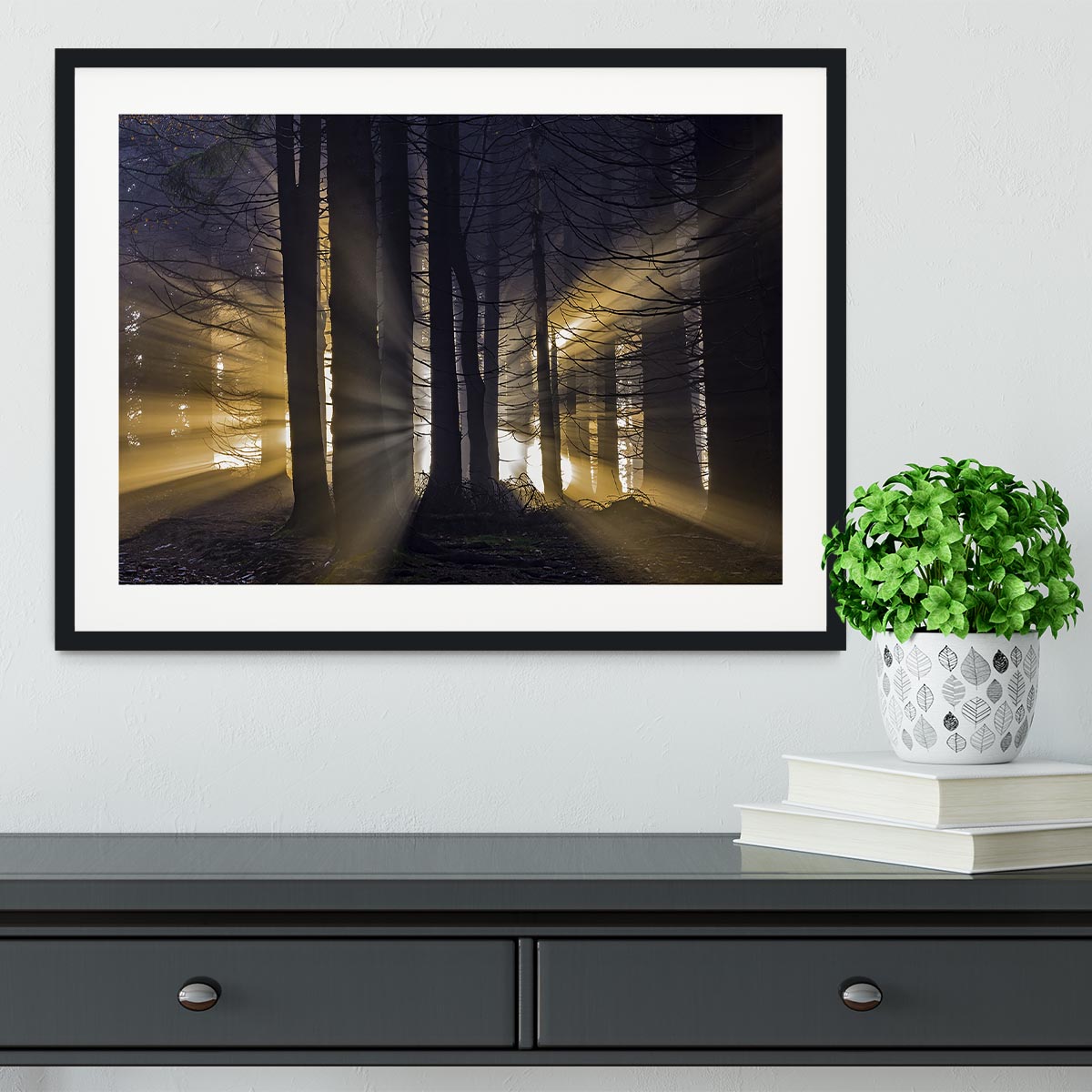 Autumn Forest Framed Print - Canvas Art Rocks - 1