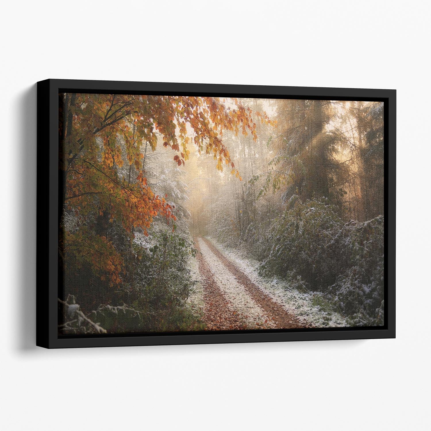 Frosty Fall Floating Framed Canvas - Canvas Art Rocks - 1