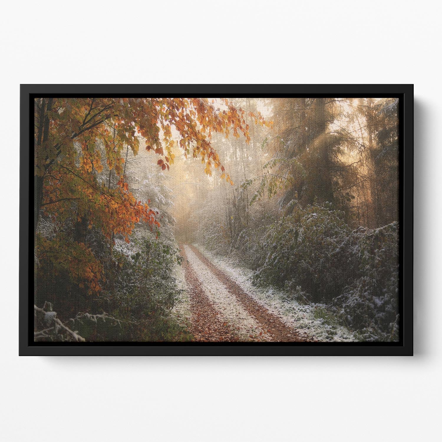 Frosty Fall Floating Framed Canvas - Canvas Art Rocks - 2