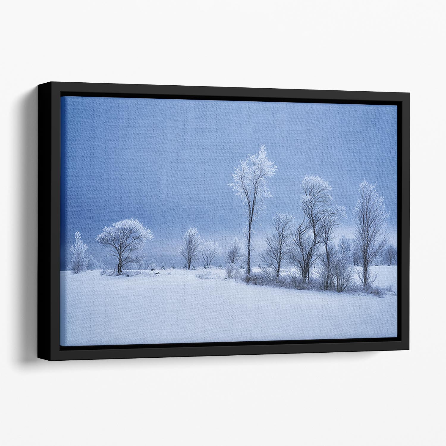 Winterland Floating Framed Canvas - Canvas Art Rocks - 1