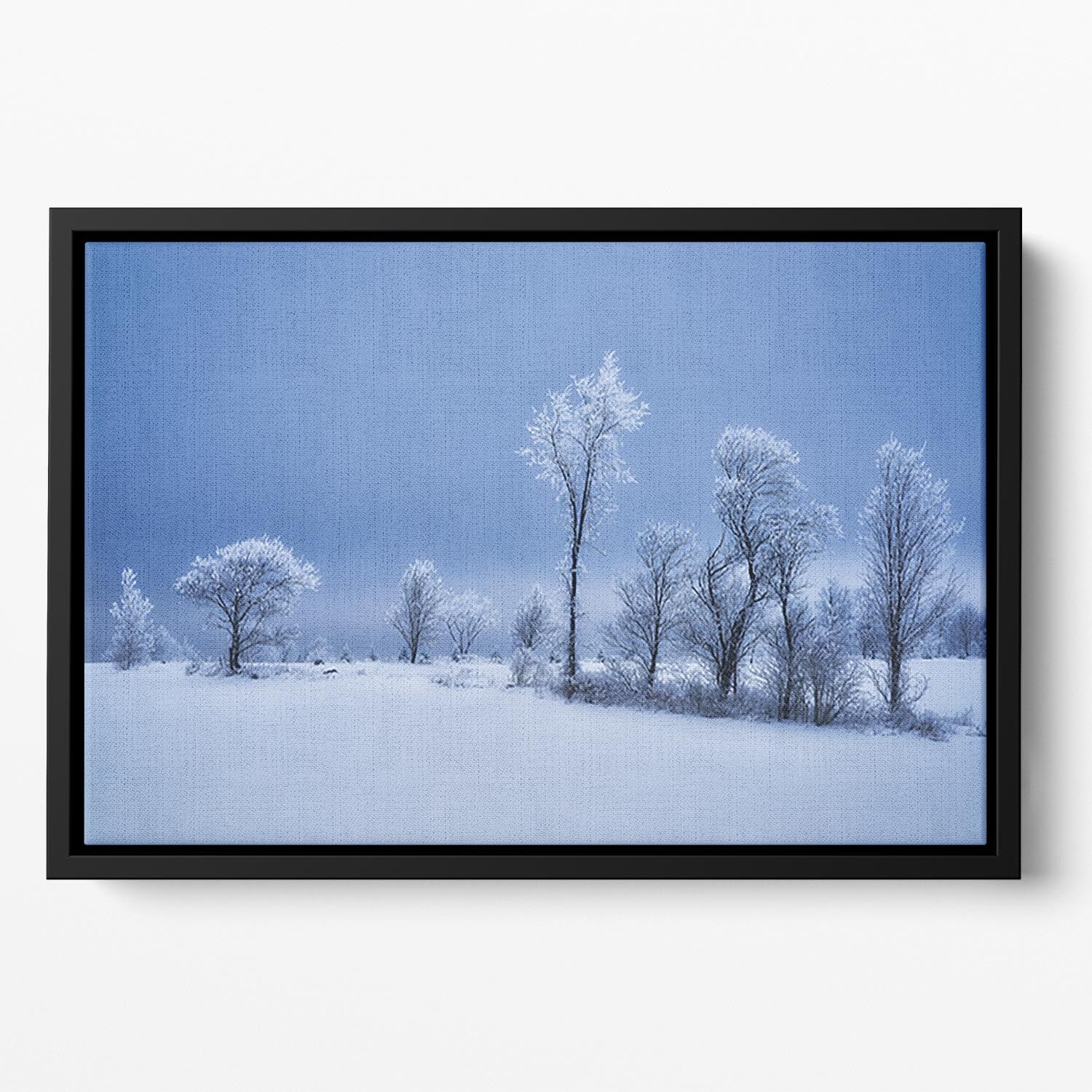 Winterland Floating Framed Canvas - Canvas Art Rocks - 2