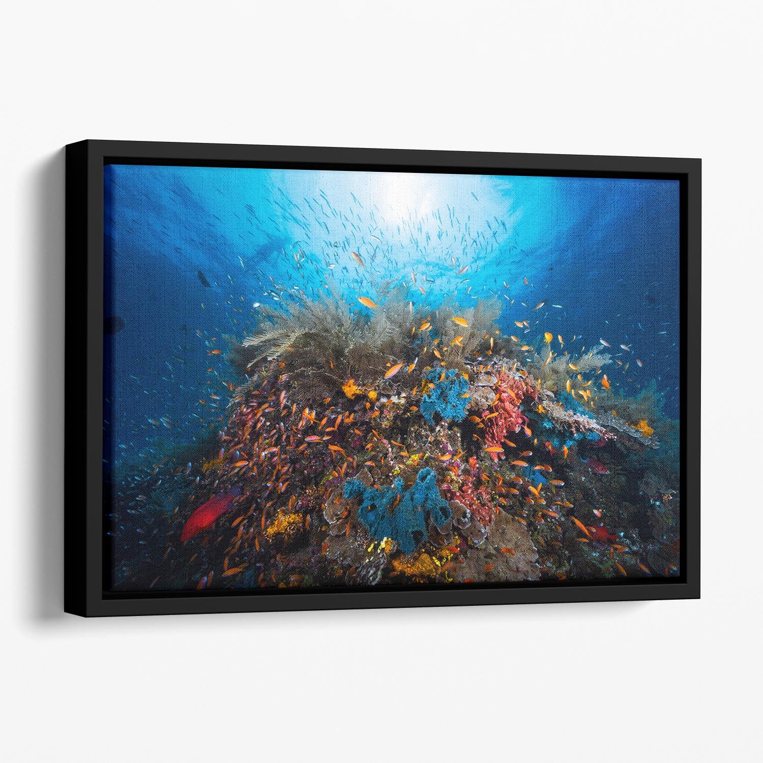 Apnea Floating Framed Canvas - Canvas Art Rocks - 1