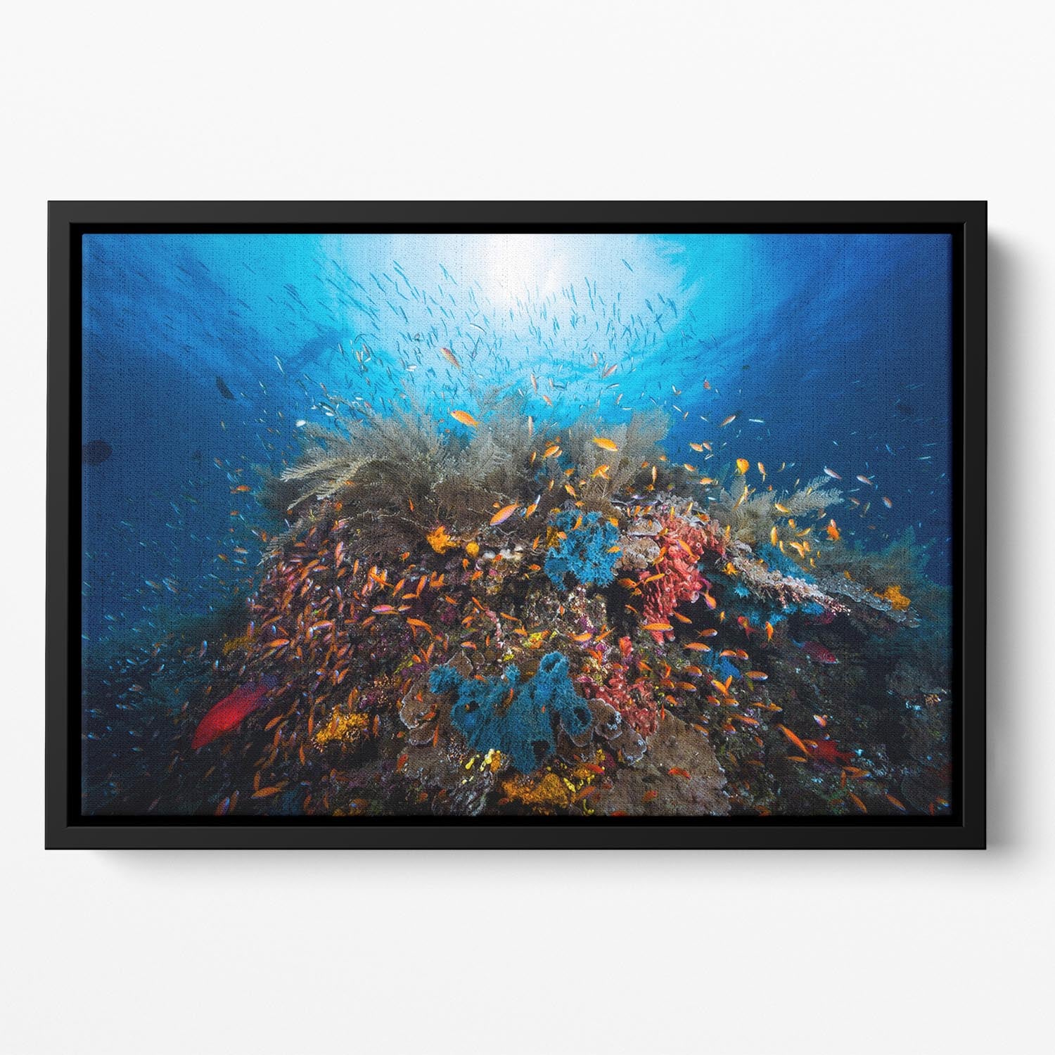 Apnea Floating Framed Canvas - Canvas Art Rocks - 2