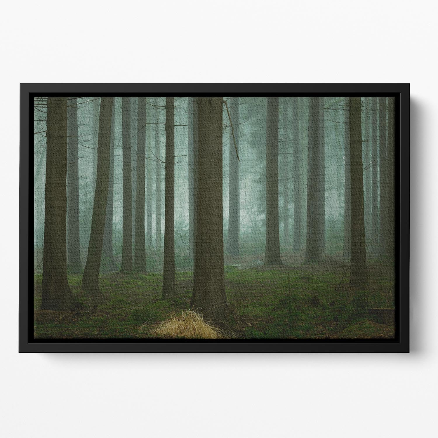 The Cold, Dark Days Of Winter Floating Framed Canvas - Canvas Art Rocks - 2