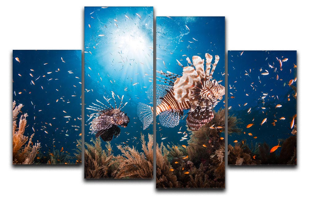 Lionfish 4 Split Panel Canvas - Canvas Art Rocks - 1