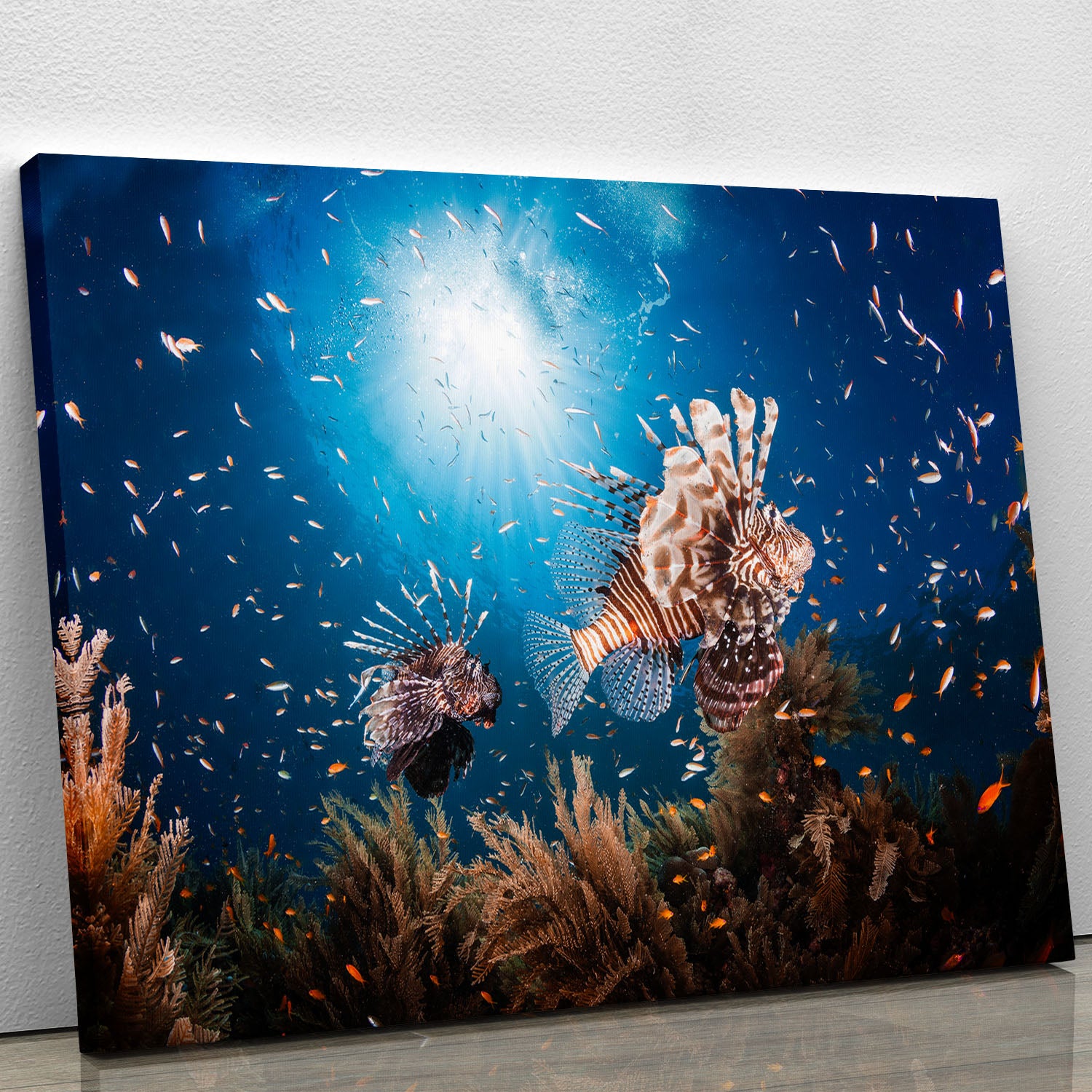 Lionfish Canvas Print or Poster - Canvas Art Rocks - 1