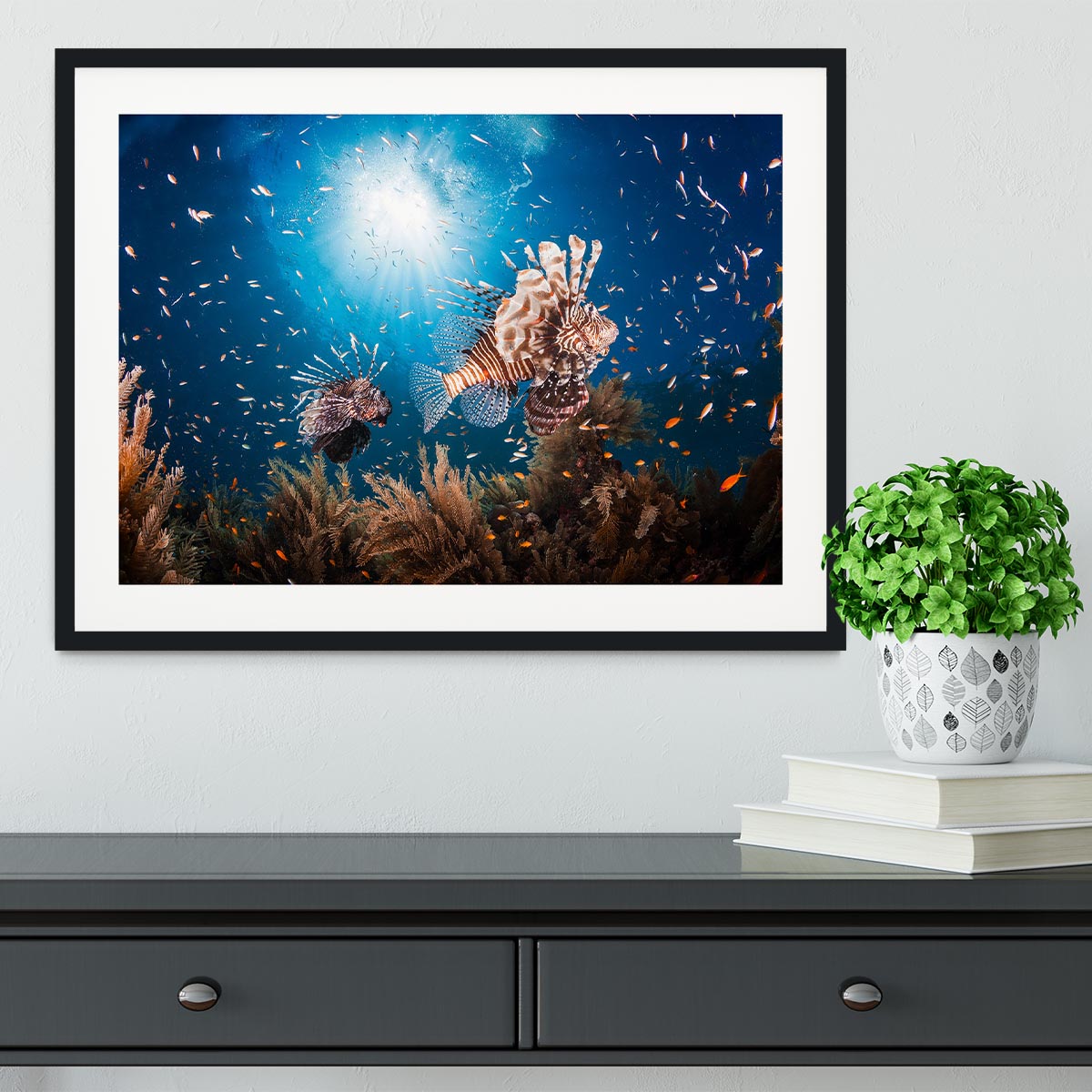 Lionfish Framed Print - Canvas Art Rocks - 1