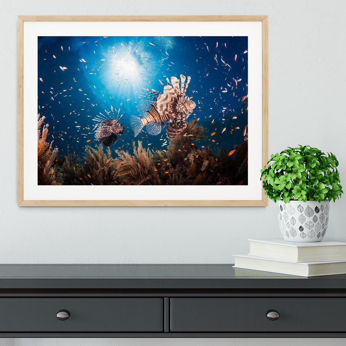 Lionfish Framed Print - Canvas Art Rocks - 3