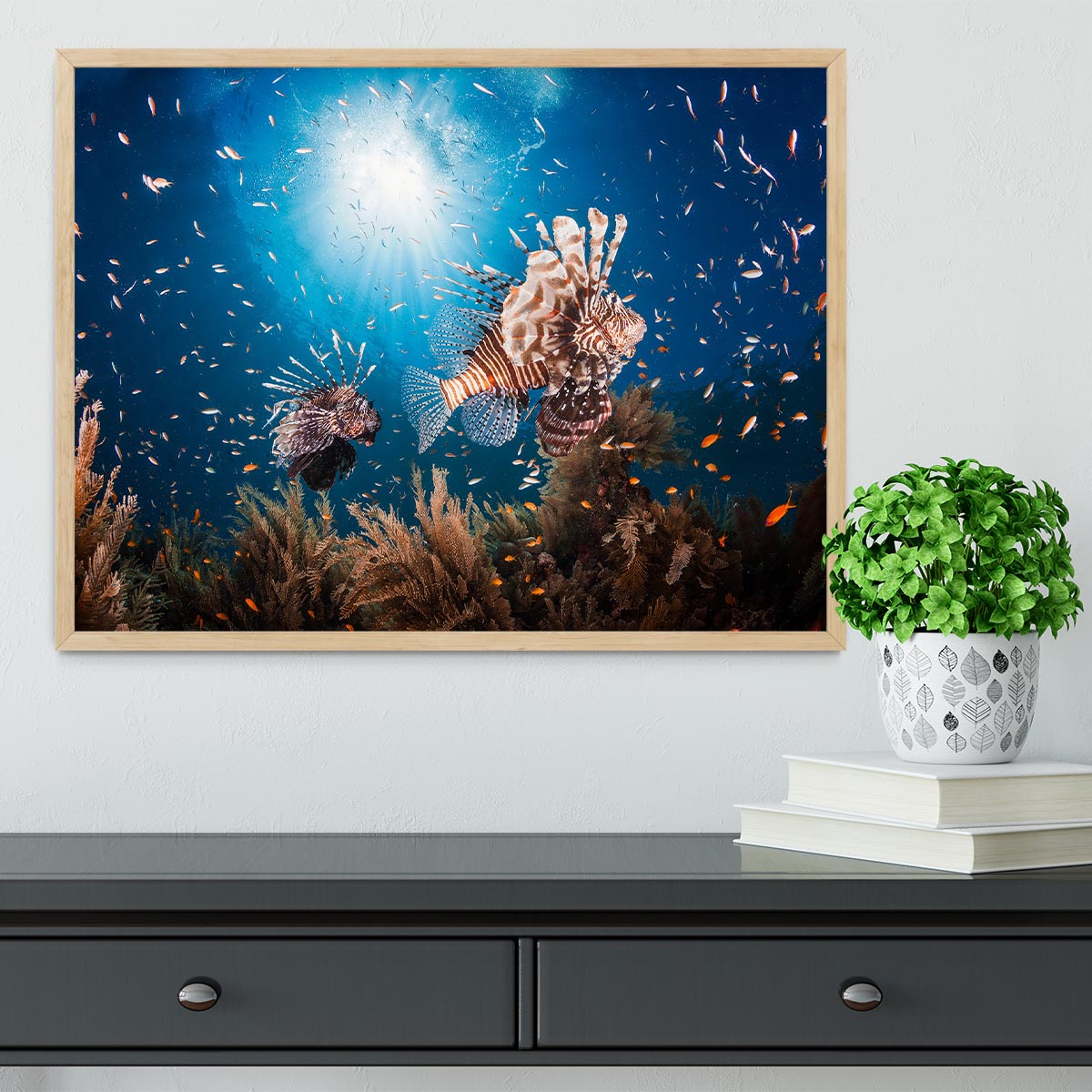 Lionfish Framed Print - Canvas Art Rocks - 4
