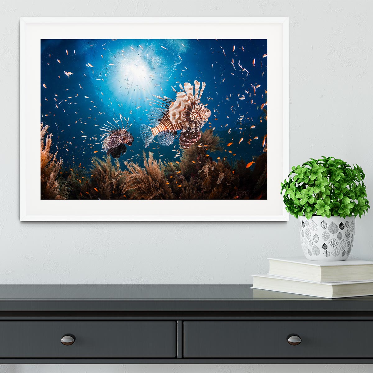Lionfish Framed Print - Canvas Art Rocks - 5
