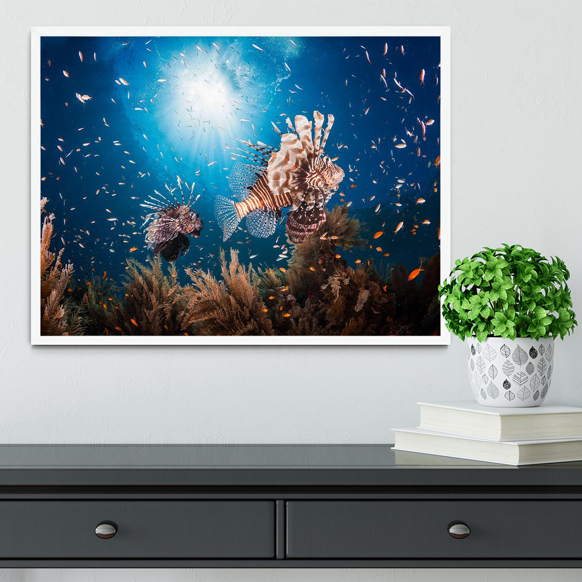 Lionfish Framed Print - Canvas Art Rocks -6