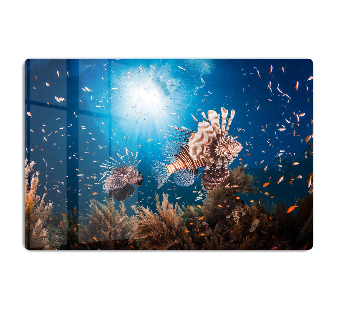 Lionfish HD Metal Print - Canvas Art Rocks - 1