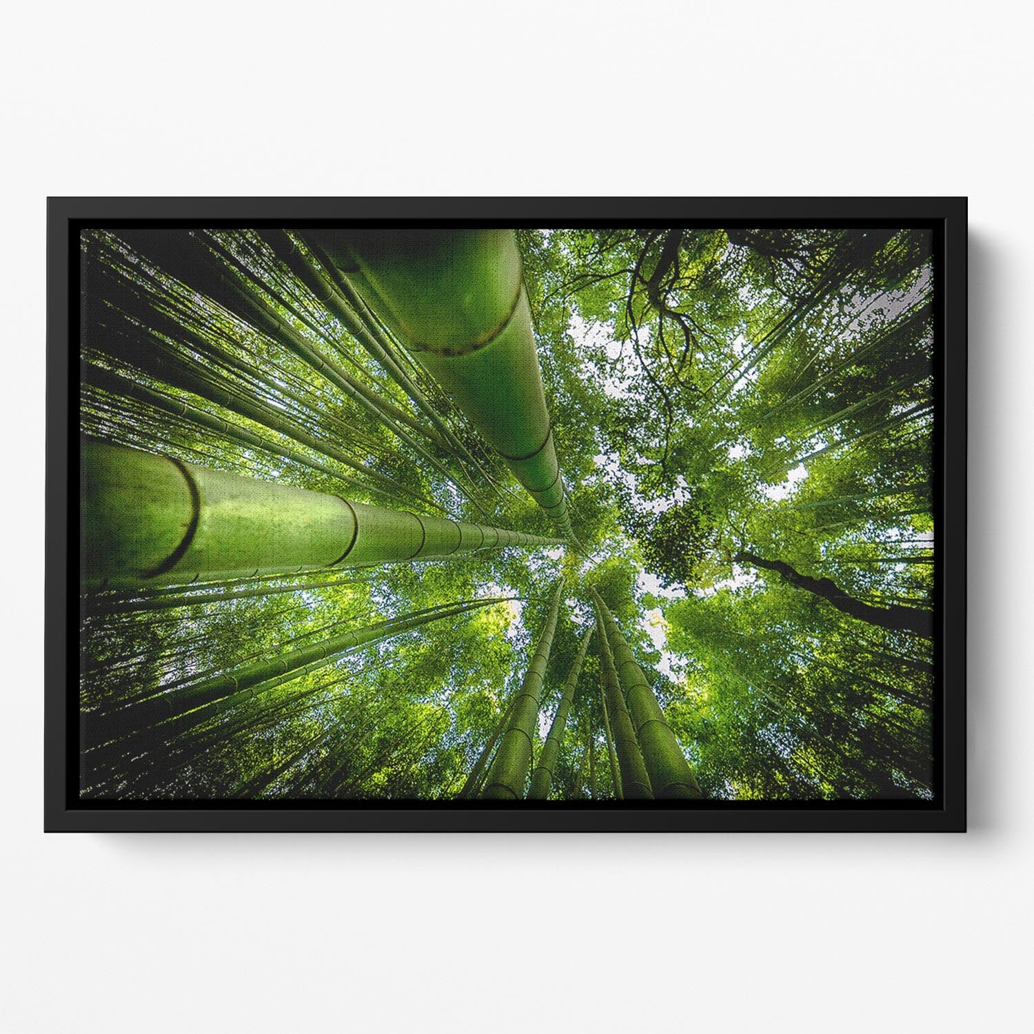 Arashiyama Floating Framed Canvas - Canvas Art Rocks - 2