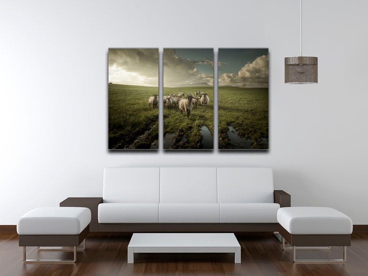 Sheep in field 3 Split Panel Canvas Print - Canvas Art Rocks - 3