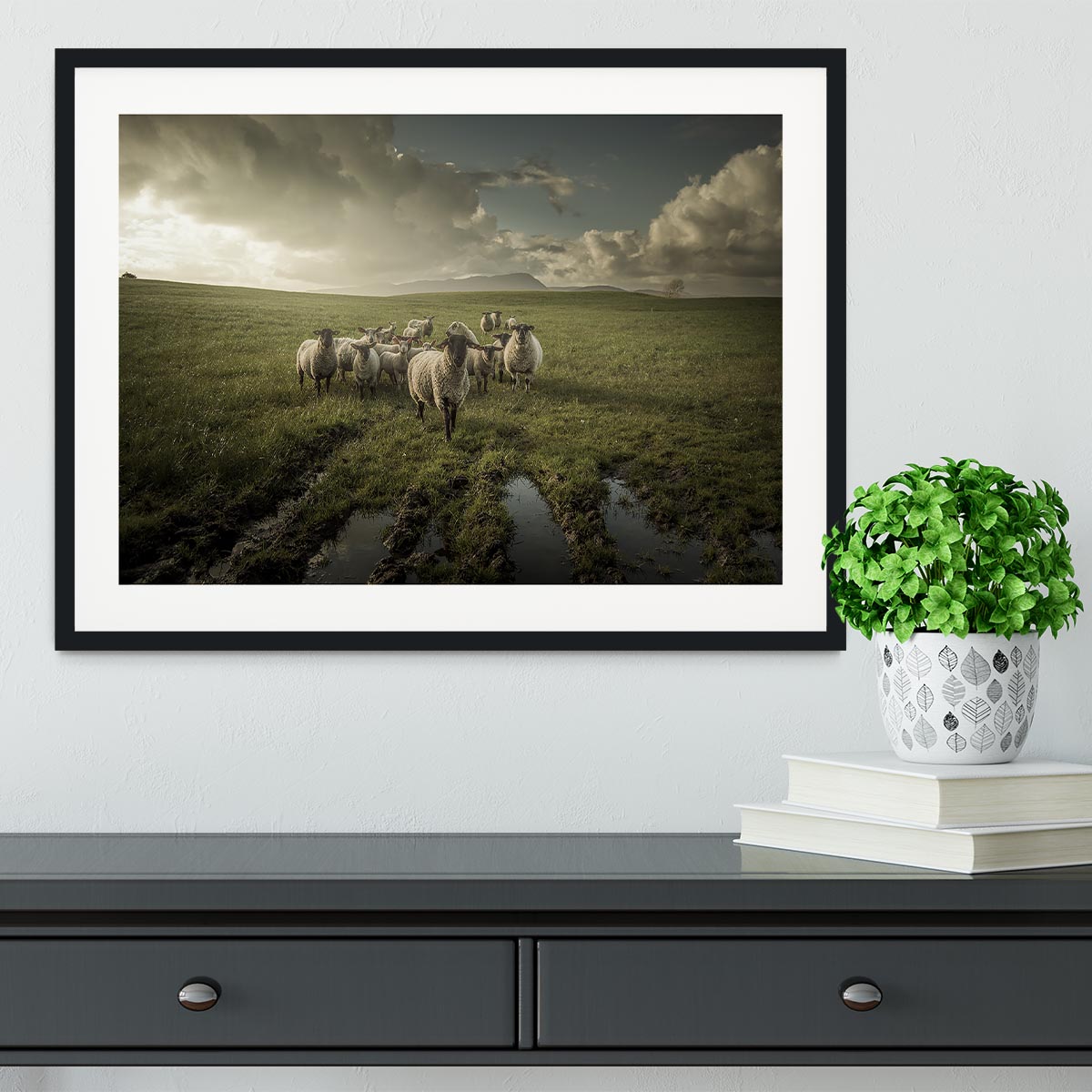 Sheep in field Framed Print - Canvas Art Rocks - 1