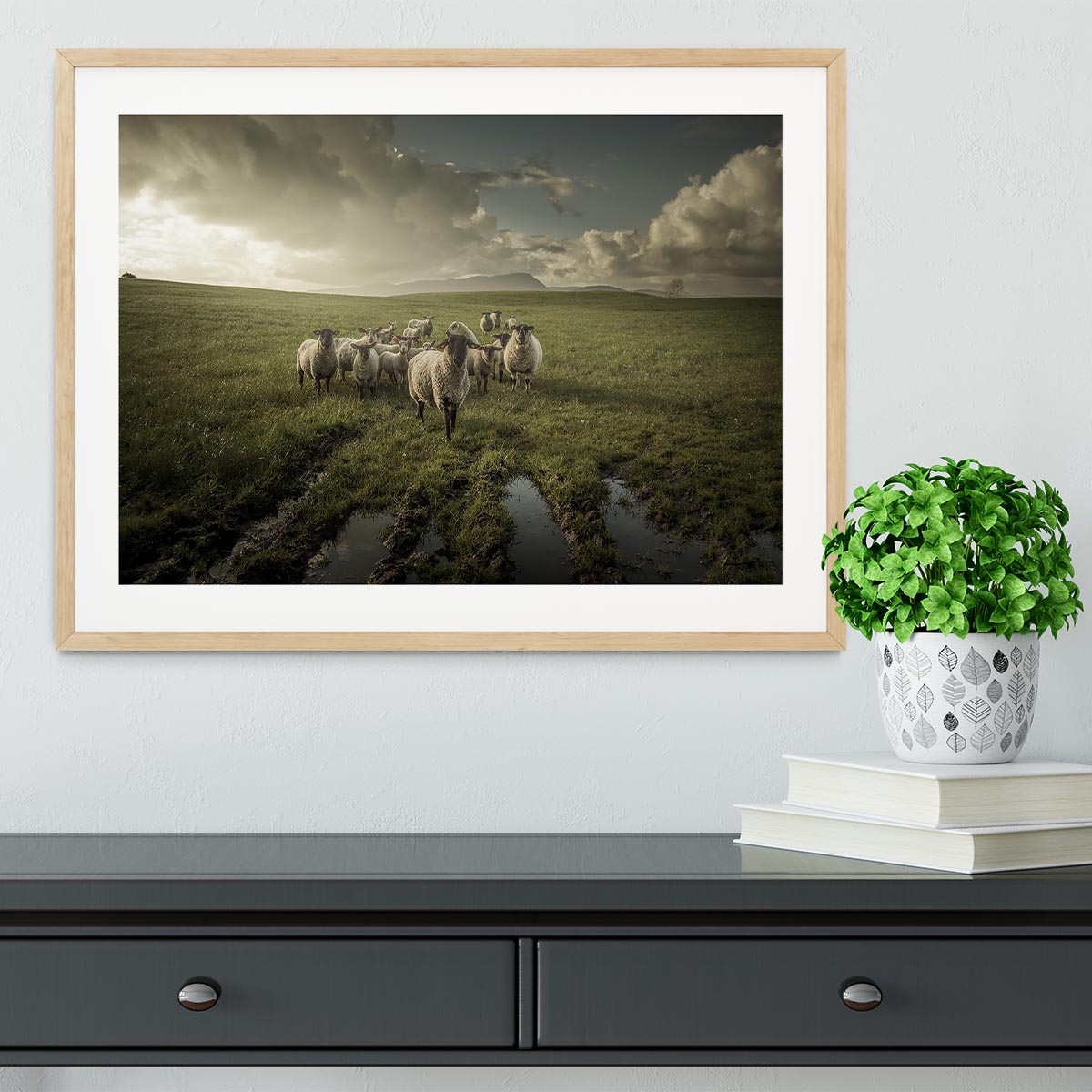 Sheep in field Framed Print - Canvas Art Rocks - 3