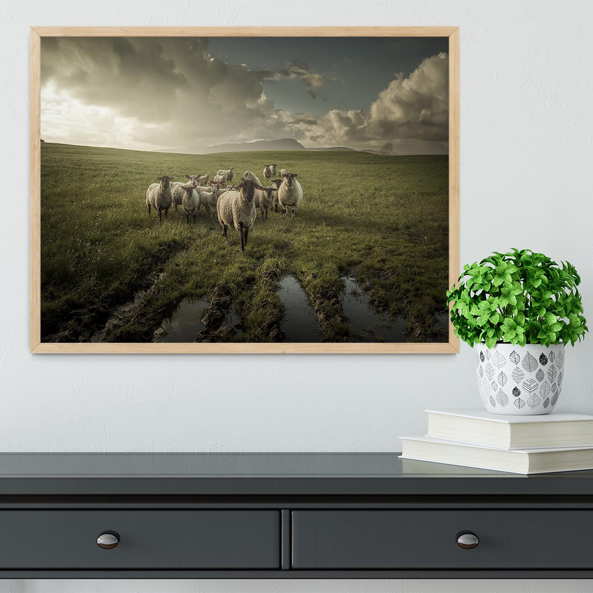Sheep in field Framed Print - Canvas Art Rocks - 4