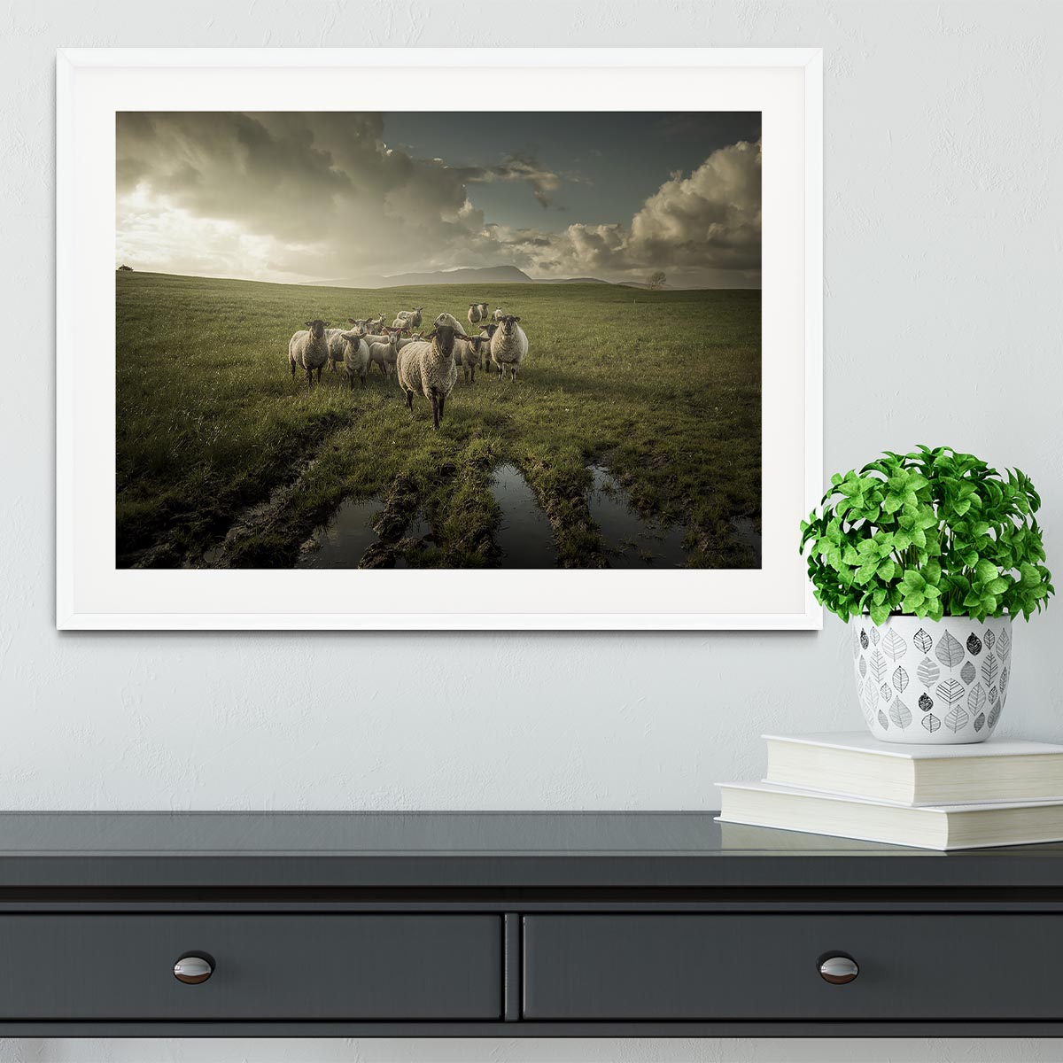 Sheep in field Framed Print - Canvas Art Rocks - 5