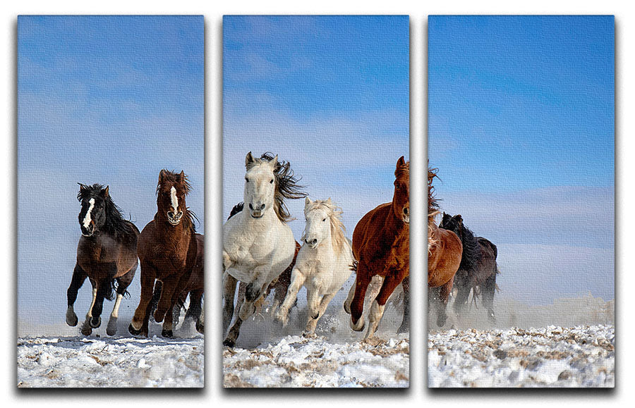 Mongolia Horses 3 Split Panel Canvas Print - Canvas Art Rocks - 1